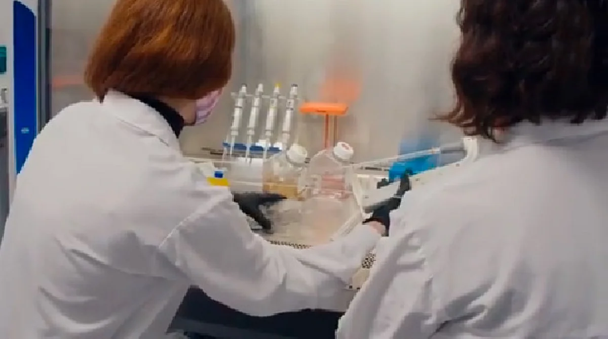 Trabajan en el desarrollo de leche materna cultivada en laboratorio