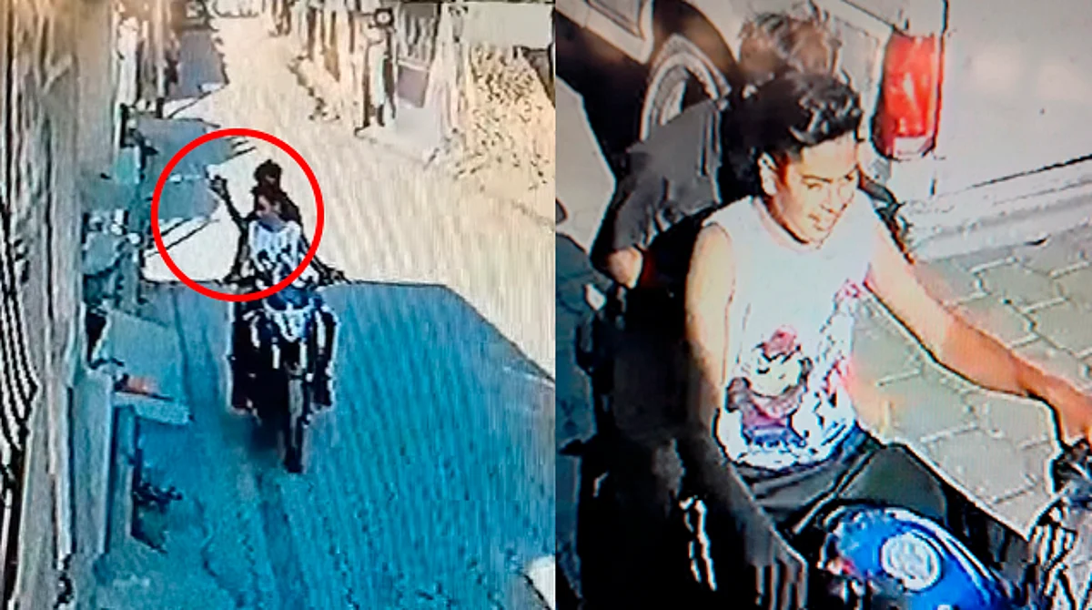 ¡Se buscan! Chavos en Nahuatzen, Michoacán, apedrean perros y se burlan