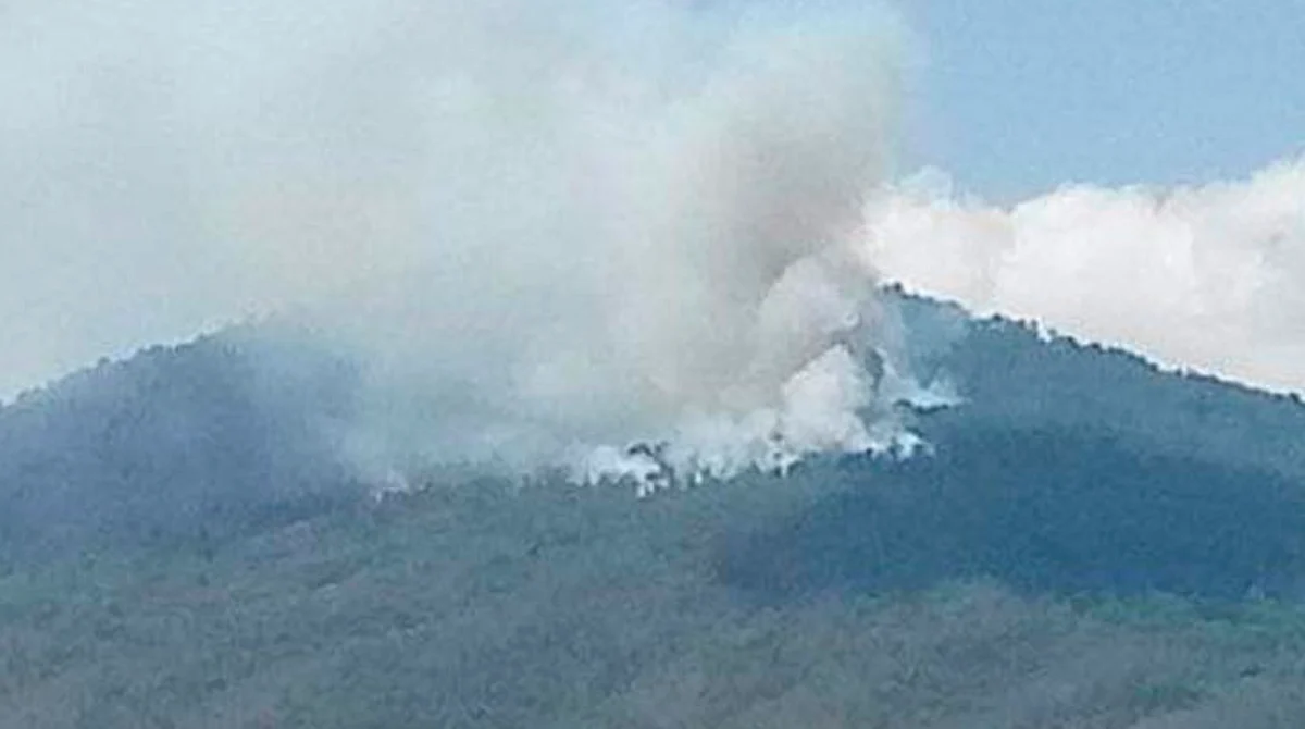 Le prenden fuego al Cerro del Águila, en Morelia