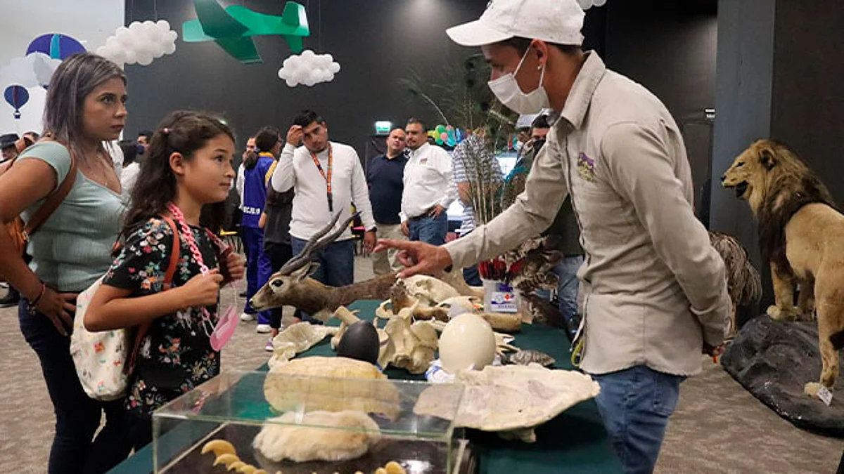 Exhibe Zoológico de Morelia colección de taxidermia en Festival Michoacán de Origen