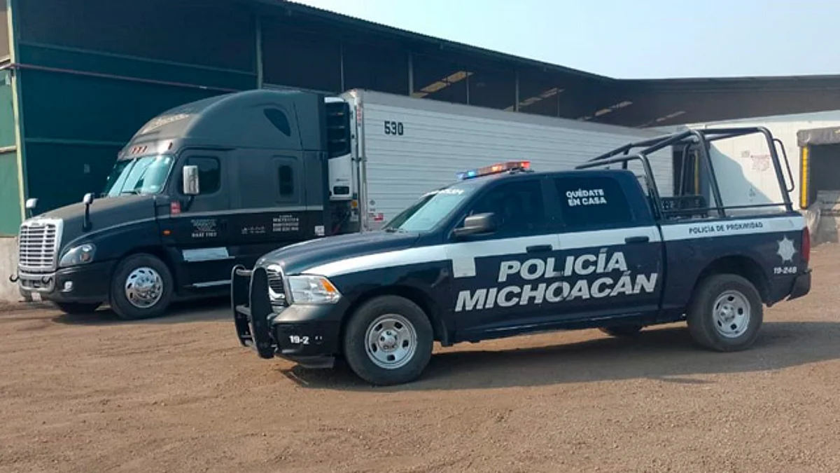 SSP garantiza seguridad para la comercialización del aguacate en el estado