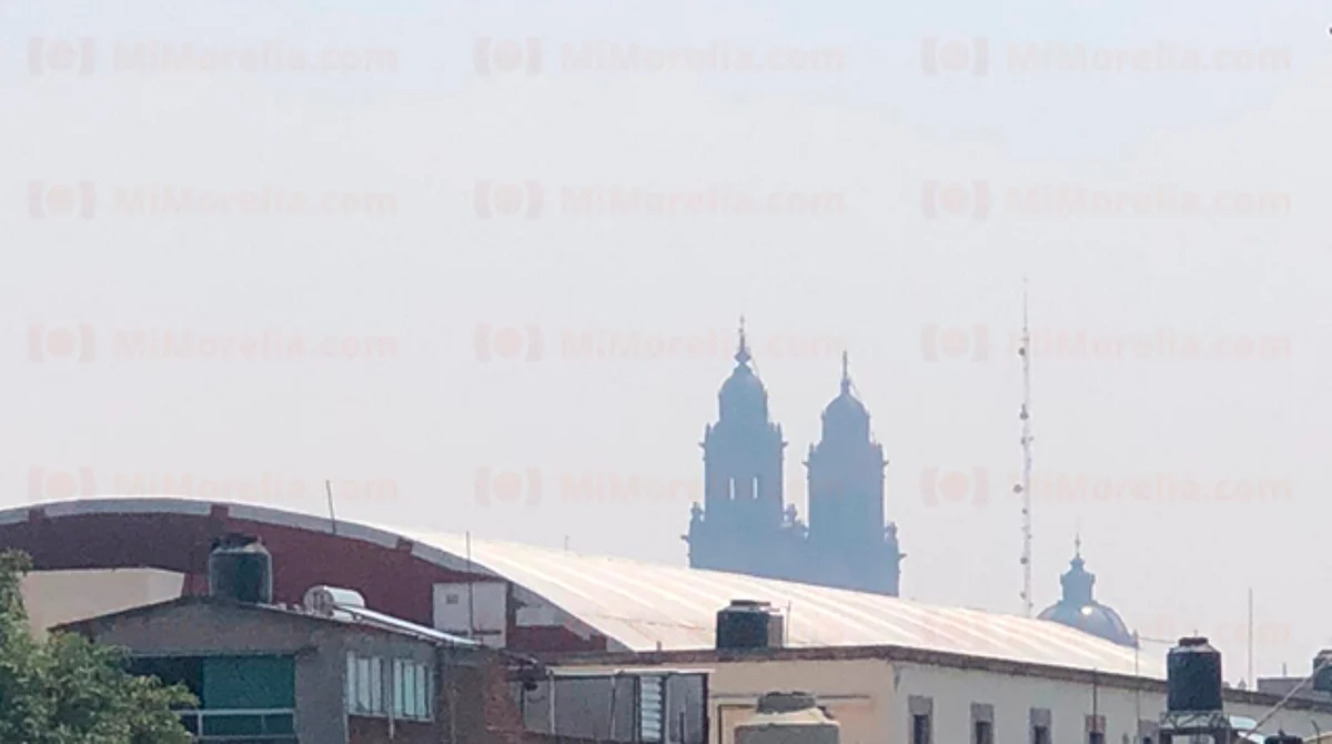 Suman 7 mil 963 hectáreas las afectadas