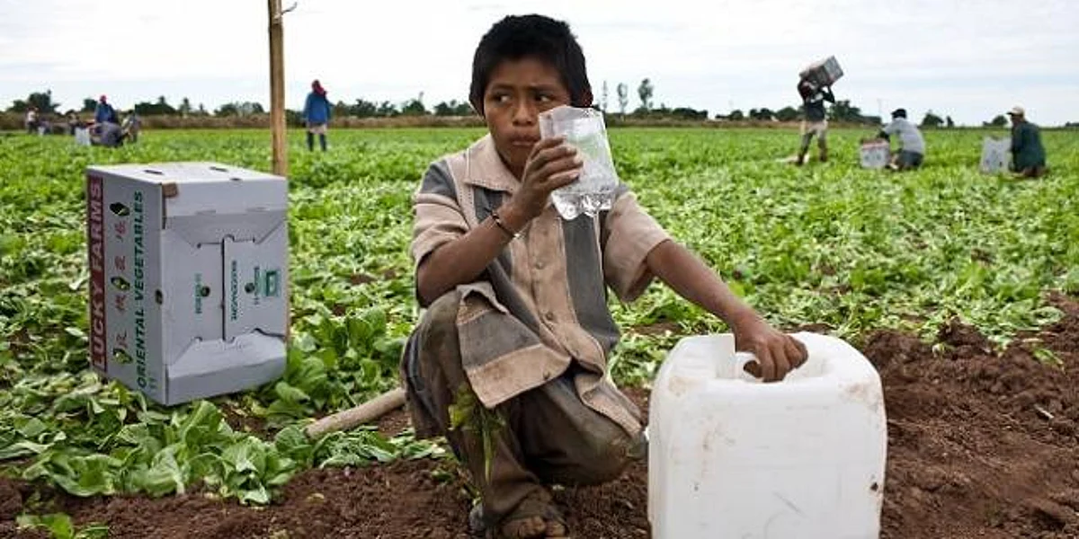 Más de 130 mil niños y adolescentes trabajan en Michoacán: Inegi