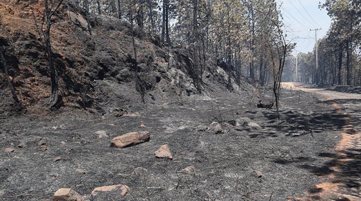 Gobiernos y ciudadanos logran controlar incendio forestal en Uruapan