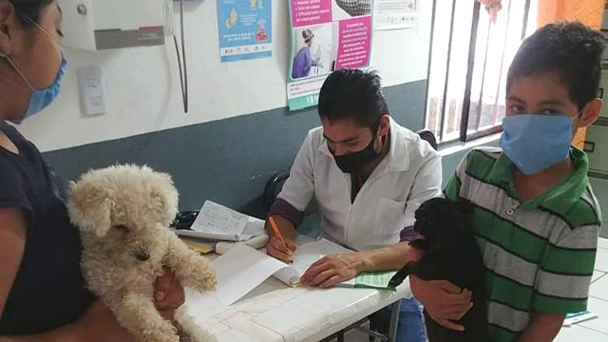 Registra Michoacán avance del 21% de vacunación antirrábica