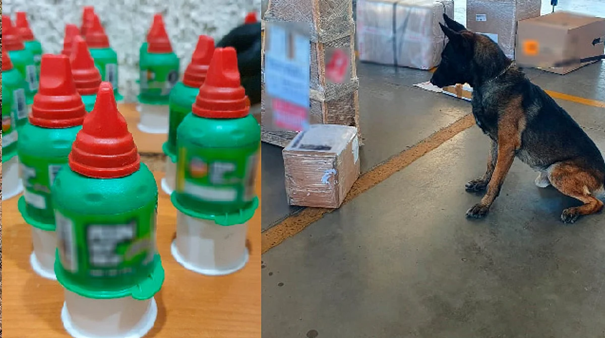 Decomisan dulces de tamarindo por tener extracto de marihuana en Guanajuato