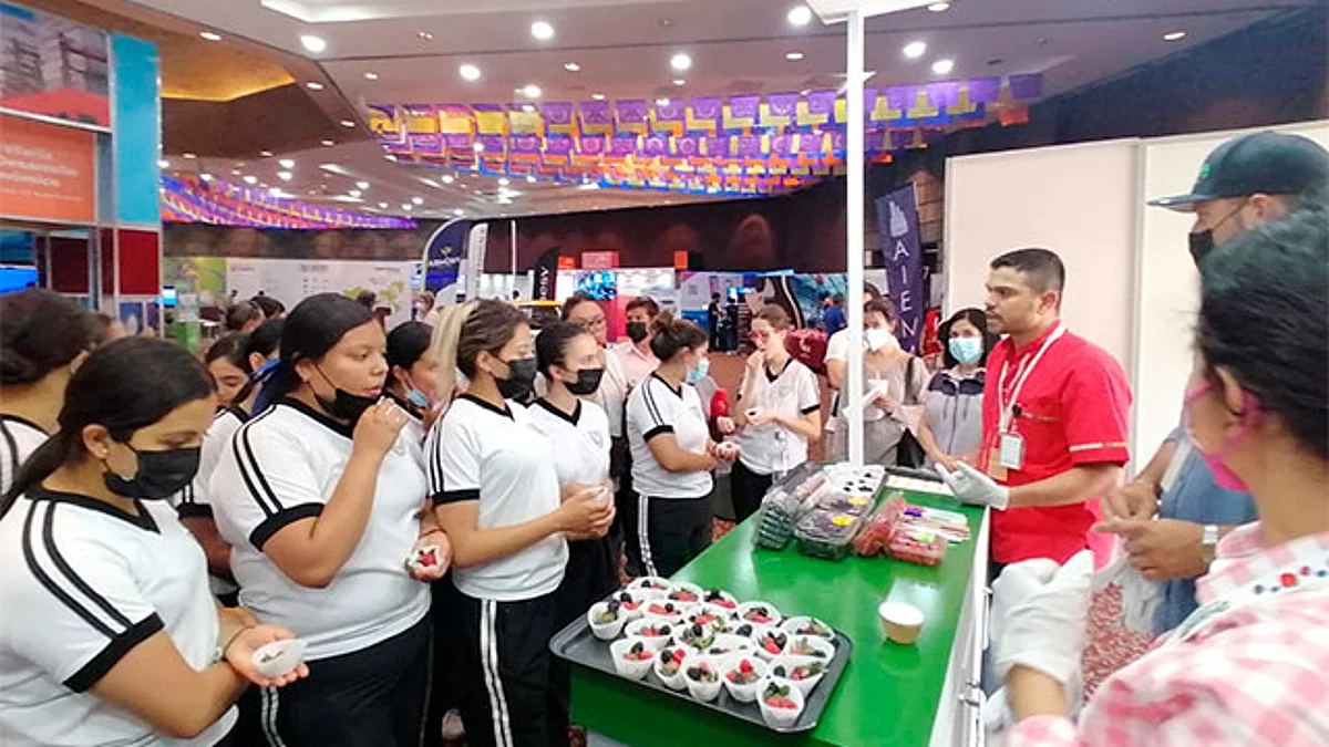 El recorrido es por las Zona Industrial, donde participan 29 empresas de diversos sectores
