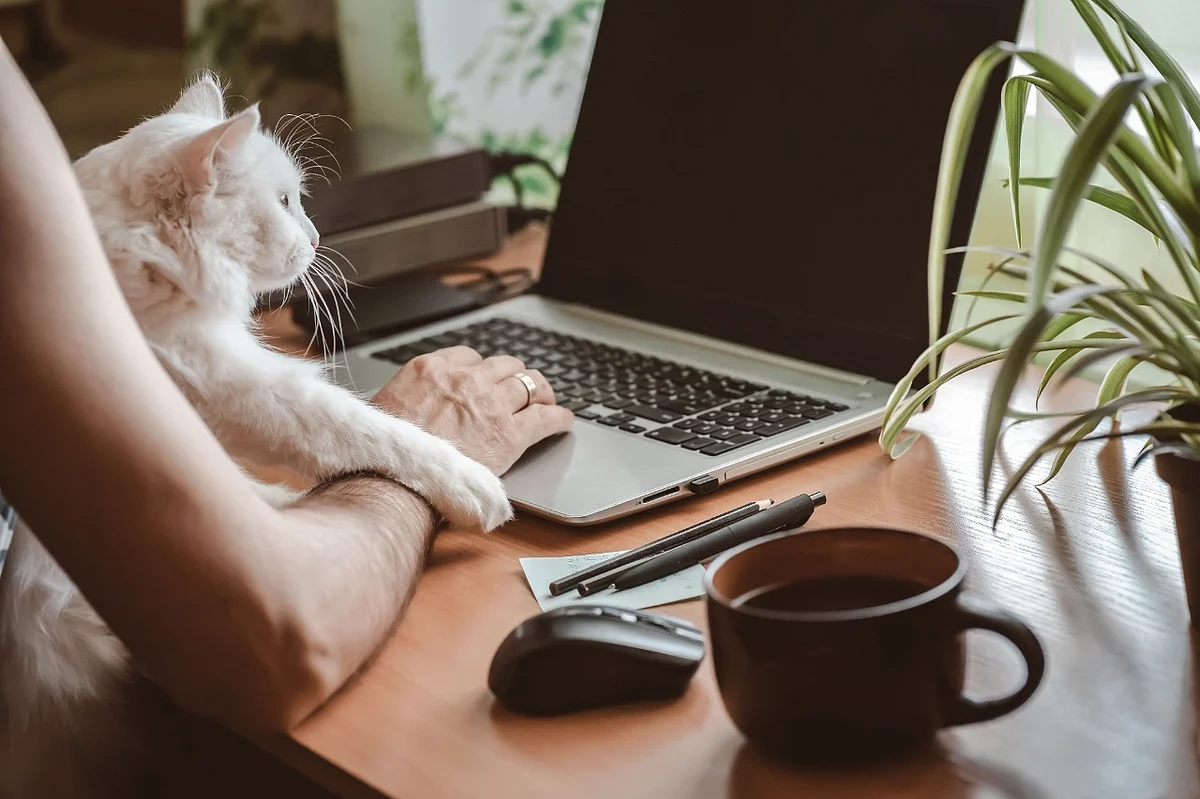 A pesar de que muchas personas regresaron a sus oficinas, muchos vieron que es muy productivo tener un trabajo remoto
