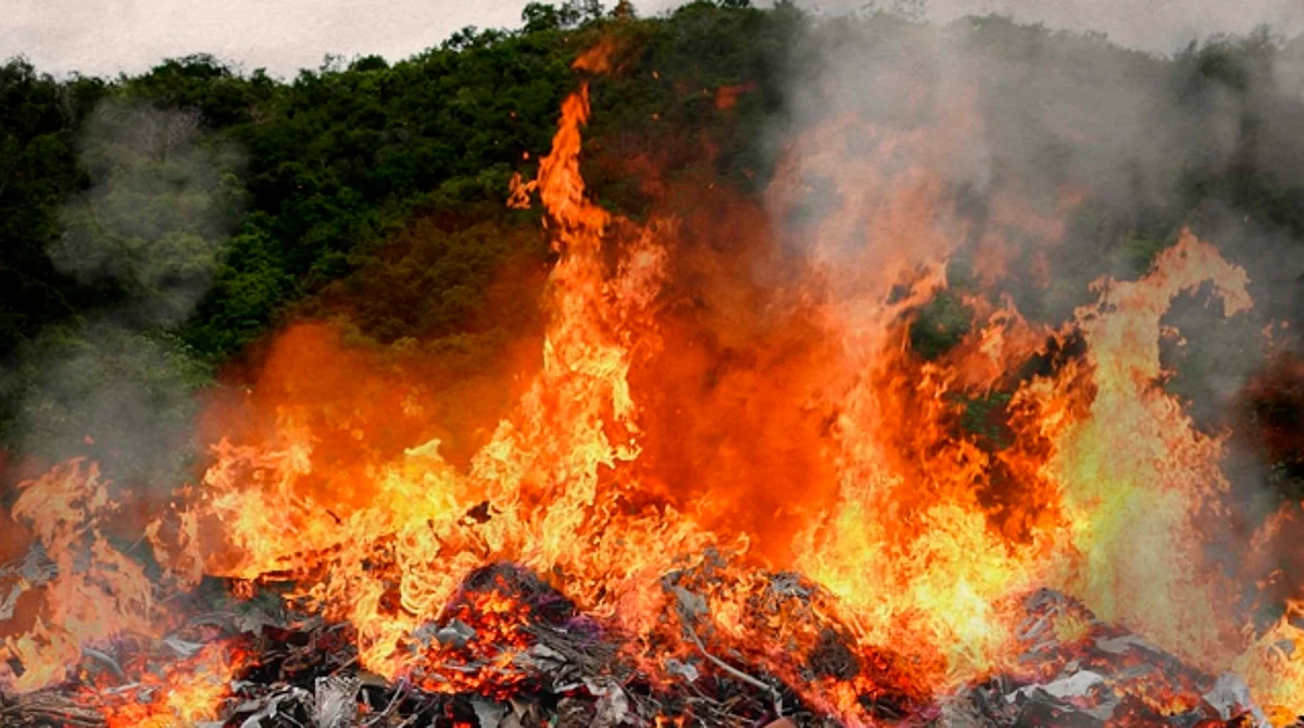 No permitirán cambio de uso de suelo en zonas incendiadas de Uruapan