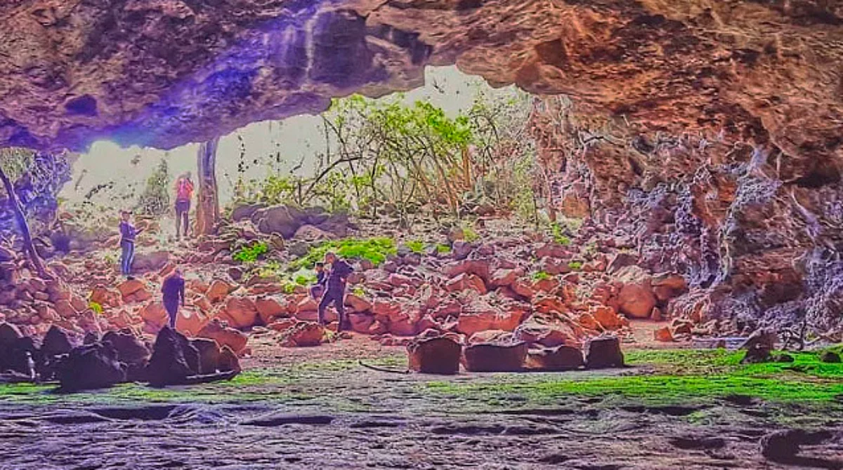 Cuevas y murciélagos, un lugar para conectar con la naturaleza en Morelia