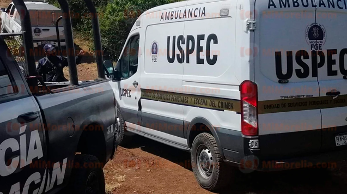 Michoacán: los hallan muertos, encobijados y con huellas de violencia