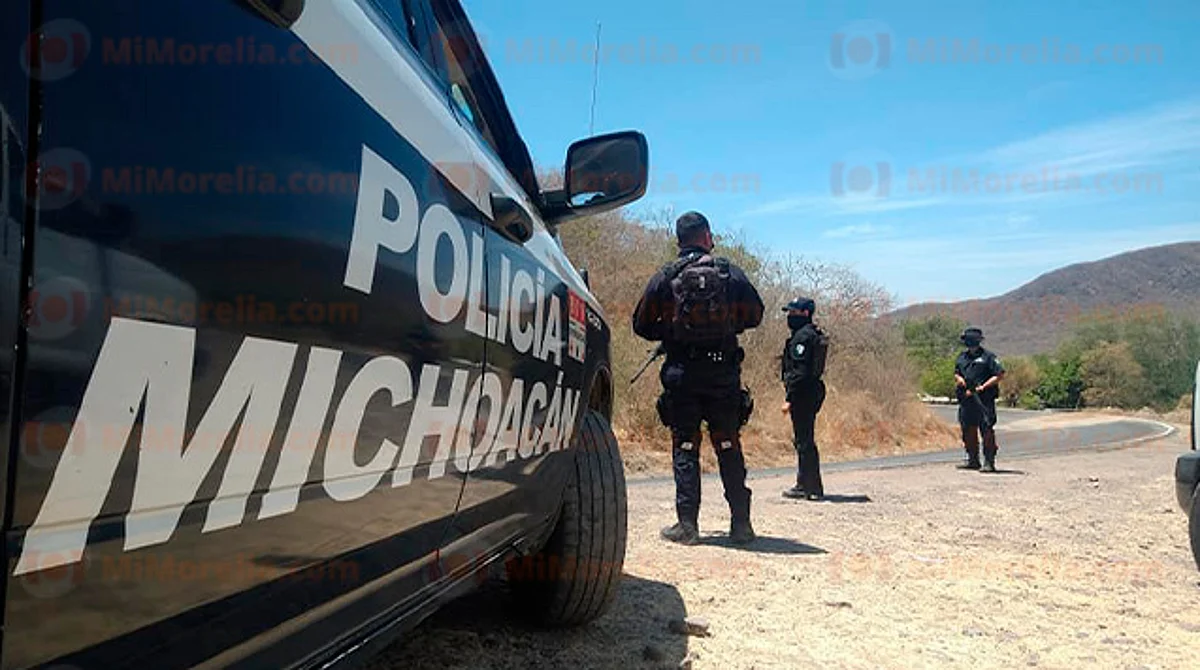 Desarme de autodefensas en Michoacán será gradual: Torres Piña