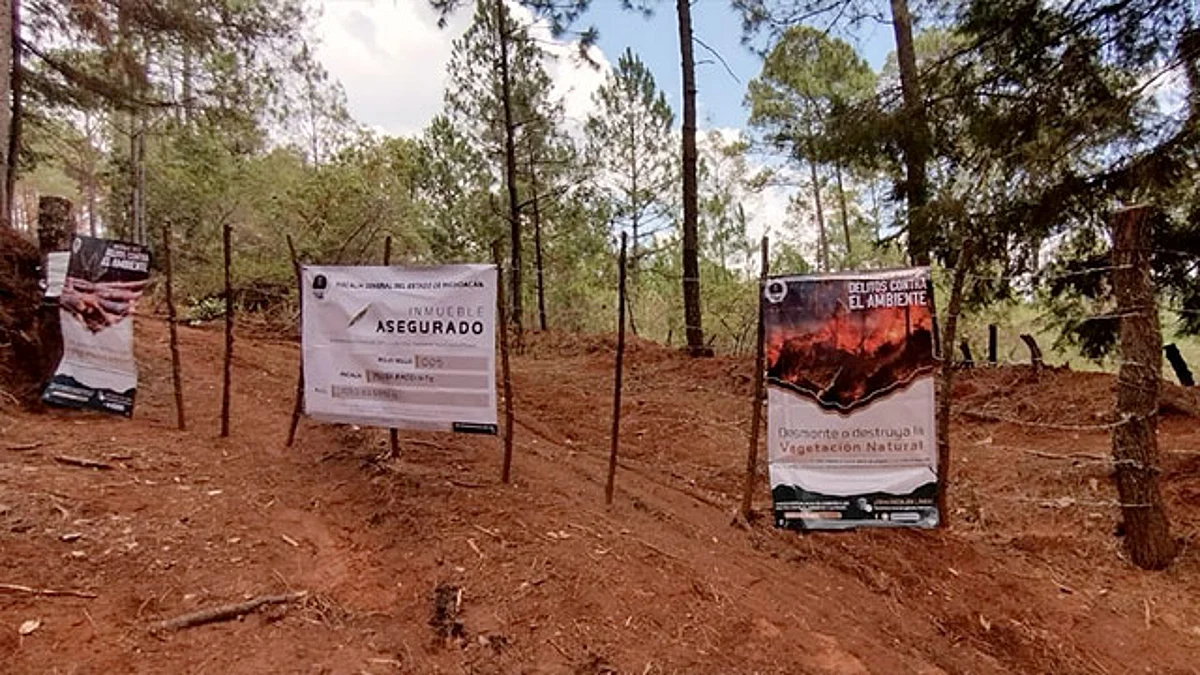 En cateo, asegura FGE predio relacionado en delitos Contra el Ambiente