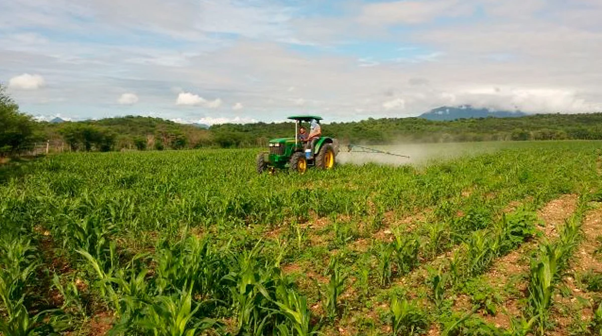 Campo, industria y servicios, impulsores del crecimiento económico: analista