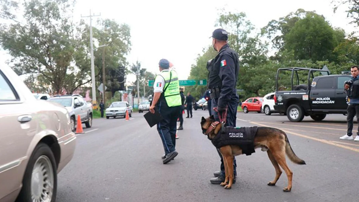 Se realizó el retiro del polarizado de vehículos