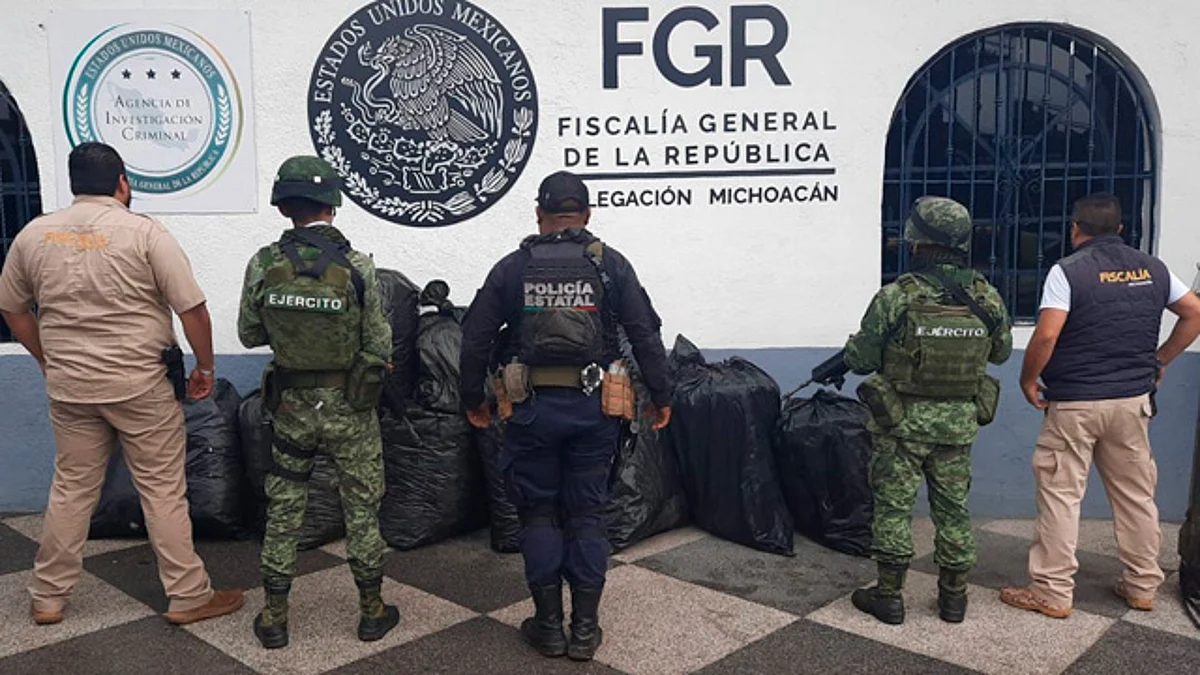 SSP, Sedena y FGE aseguran 230 kilogramos de marihuana en Zitácuaro