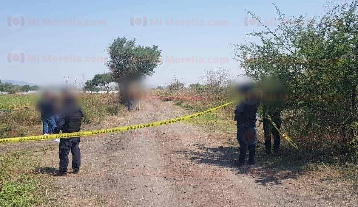 Hallan torso humano en la orilla de una brecha de terracería en Zinapécuaro