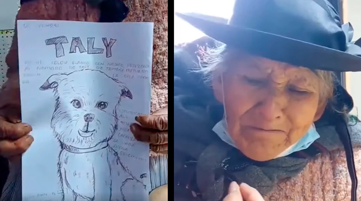 Abuelita busca a su perrito con un dibujo y junta dinero para la recompensa