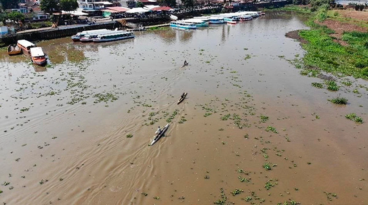 Antorchistas de Pátzcuaro luchan para revertir el daño del lago