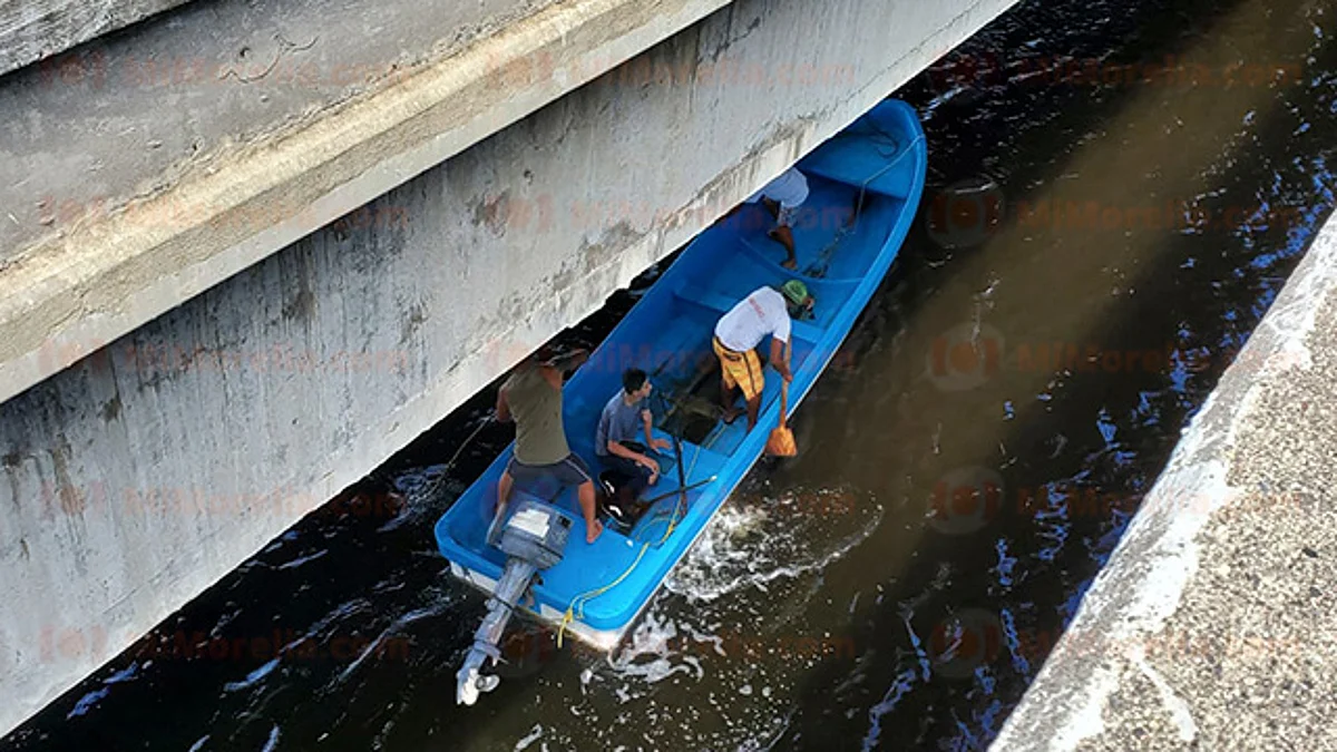 Joven cae a Estero con cocodrilos en Lázaro Cárdenas