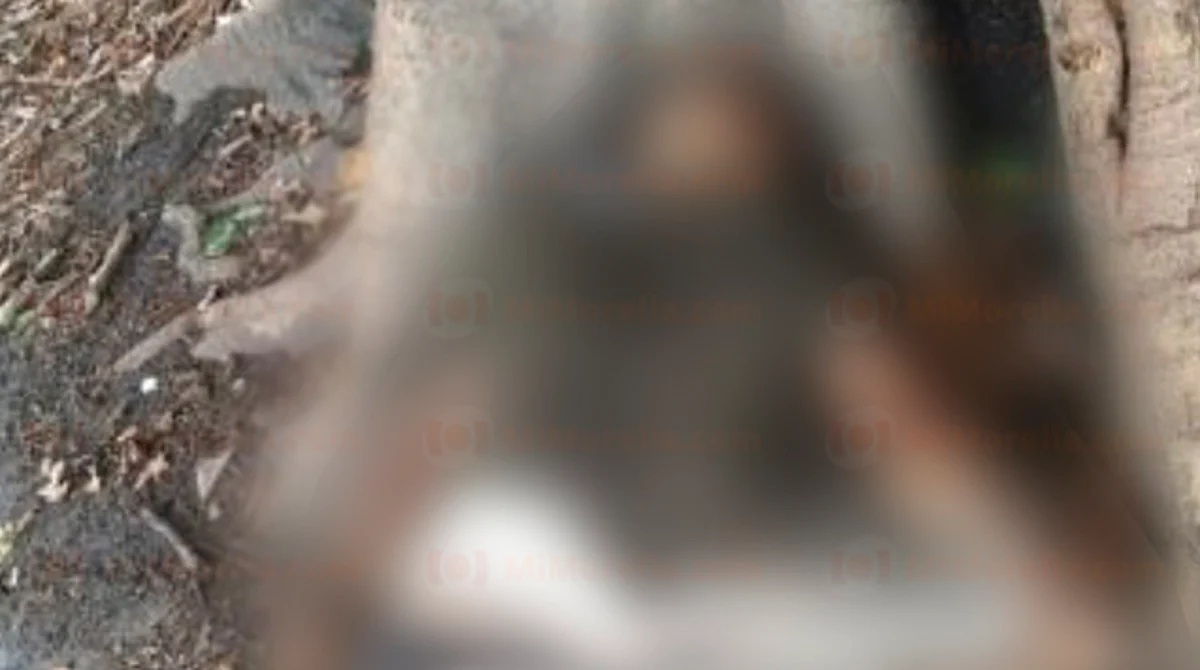 Se desconocen las circunstancias en las que el hombre difunto fue asesinado