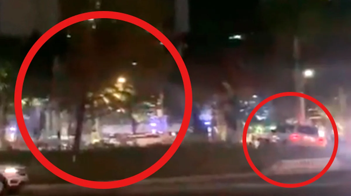 Choca contra el nuevo ahuehuete y lo enchueca, en CDMX