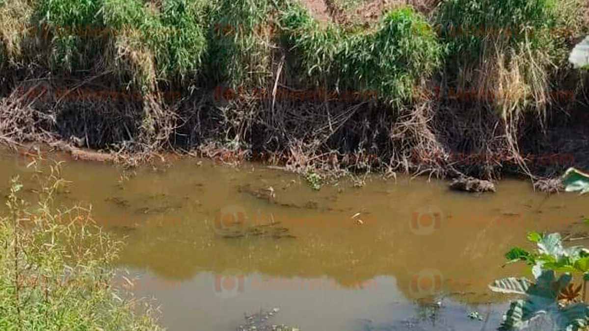 Michoacán: hallan brazos y piernas flotando en río de aguas negras