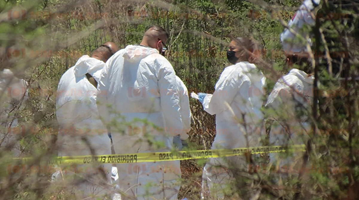 Hallan cadáveres de dos mujeres en Michoacán; investigan quiénes son