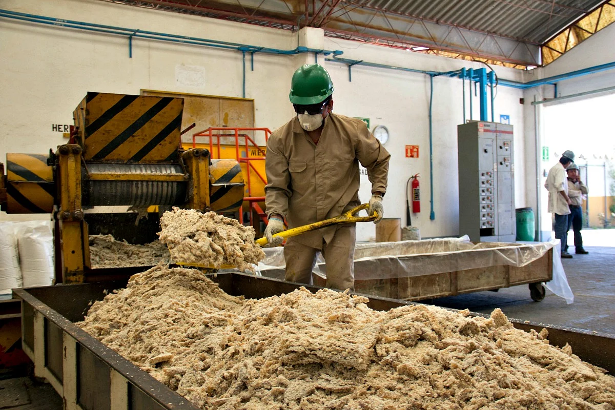 Solo 15.9 % de unidades económicas cumple con una medida de protección ambiental: INEGI