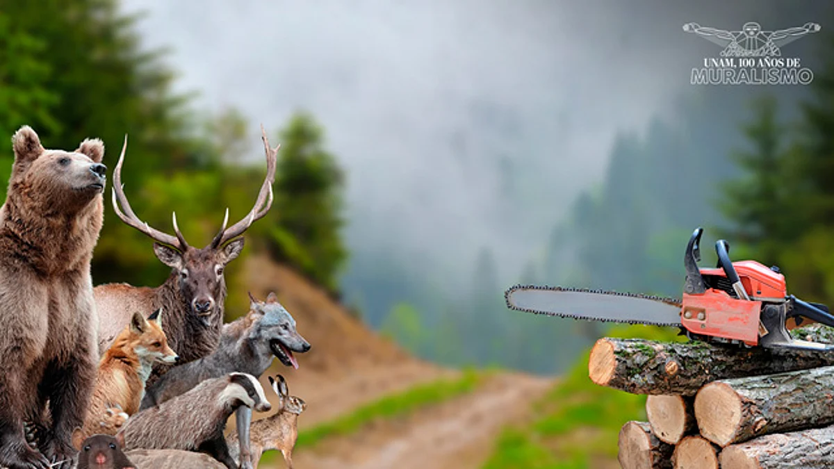 Destrucción de hábitats favorece portación de enfermedades en roedores