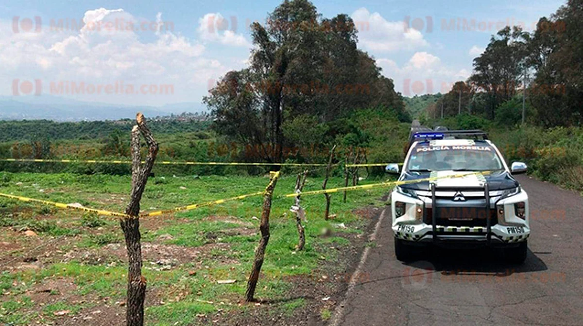 Hallan cráneo humano a la orilla de carretera en Morelia