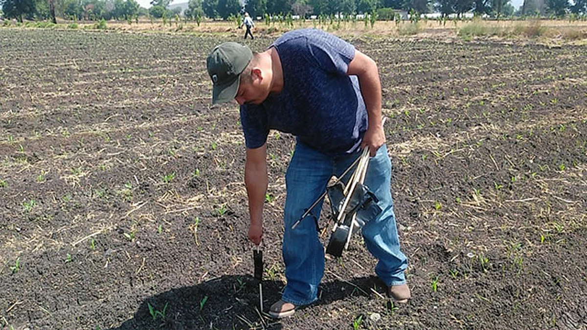 Controlan plagas en los cultivos zamoranos