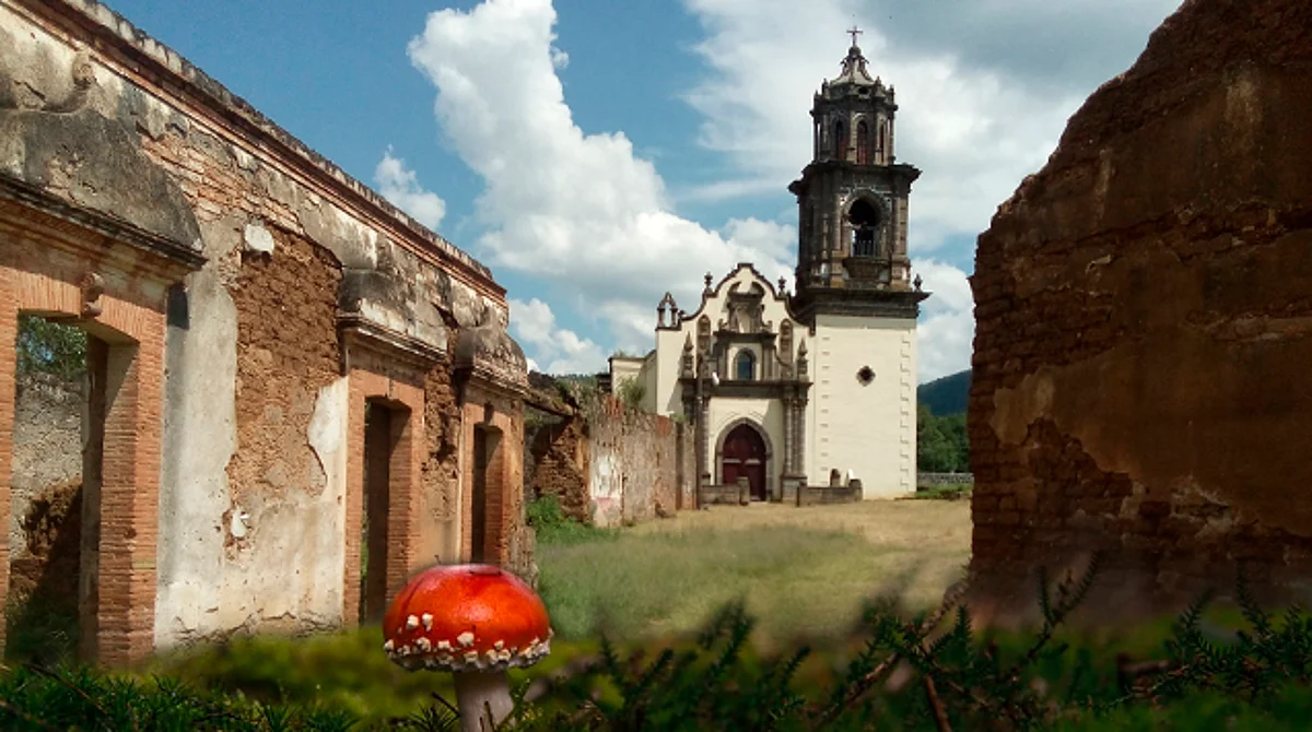 Llega a Michoacán la XXV Feria del Hongo