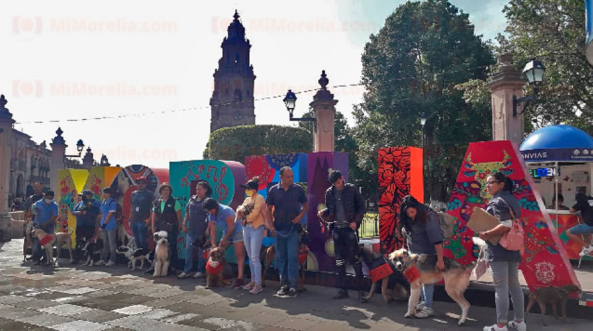 Promueven adopción de perros y gatos con caravana en el centro de Morelia