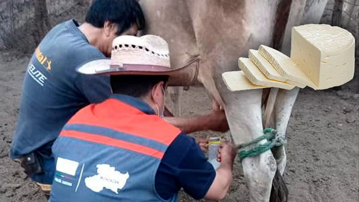 Secretaría de Salud pide no consumir quesos frescos si no están pasteurizados