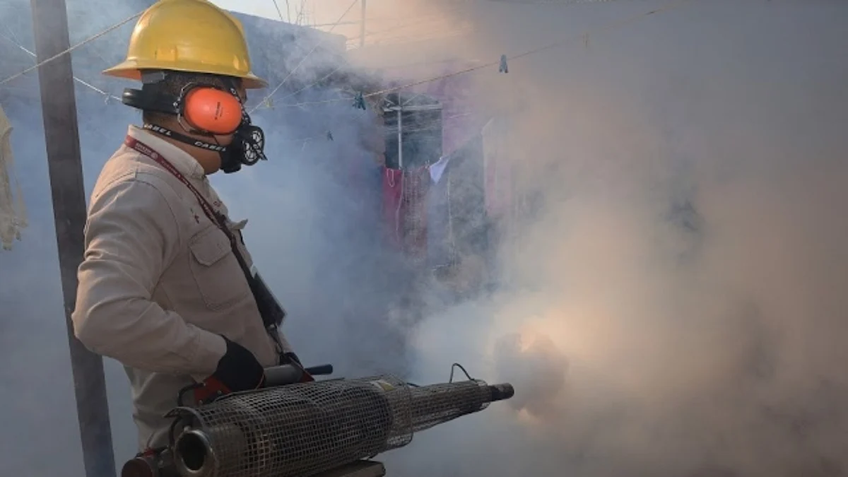 Se previene el incremento en el número de casos de dengue, zika y chikungunya