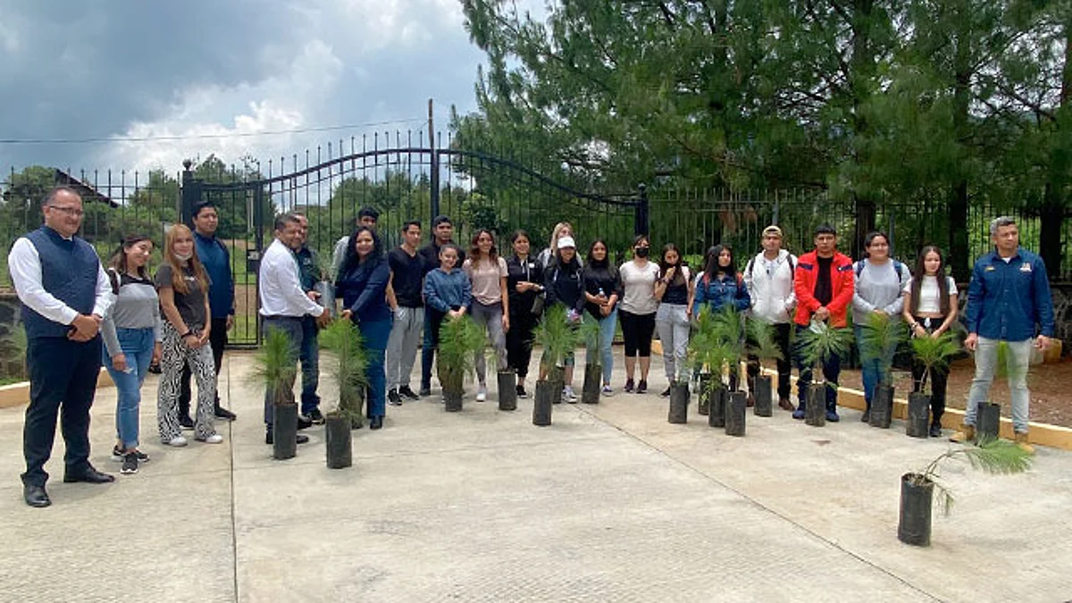 Estudiantes y autoridades reforestaron áreas verdes de la dependencia
