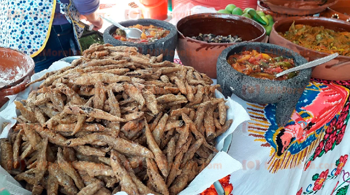 Los asistentes pueden disfrutar del recorrido guiado de la casa