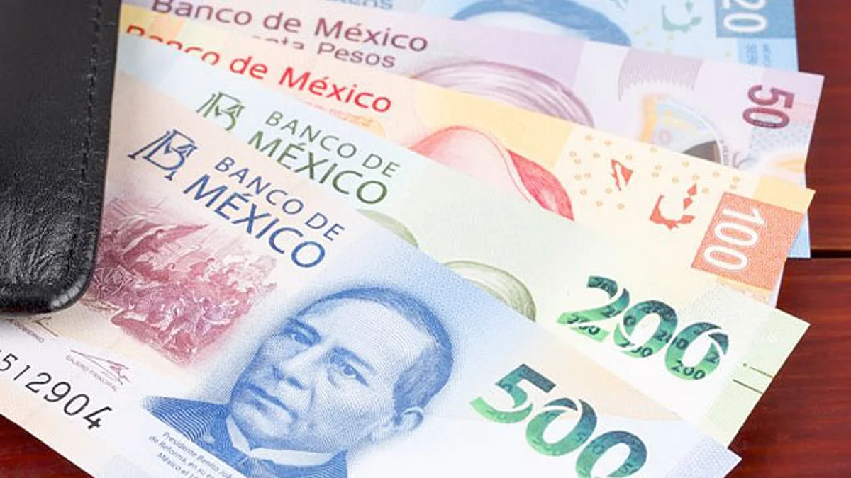 Se trata de pensiones para el bienestar de adultos mayores, personas con discapacidad, apoyo a madres trabajadoras y Sembrando Vida