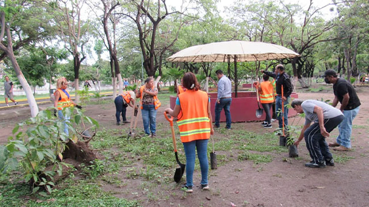 Invitan a la población a que sume a la campaña de reforestación y acuda al departamento y solicite los árboles y plantas que se tienen en el vivero para que puedan ser sembradas