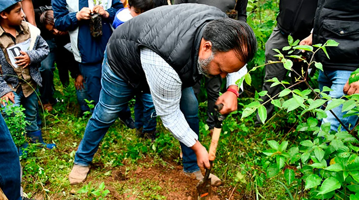 Con reforestación vamos a restaurar nuestros bosques en Pátzcuaro: Julio Arreola