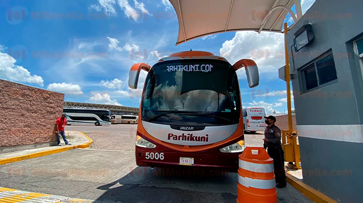 ¿Cuándo? Inician descuentos en autobuses para maestros y estudiantes