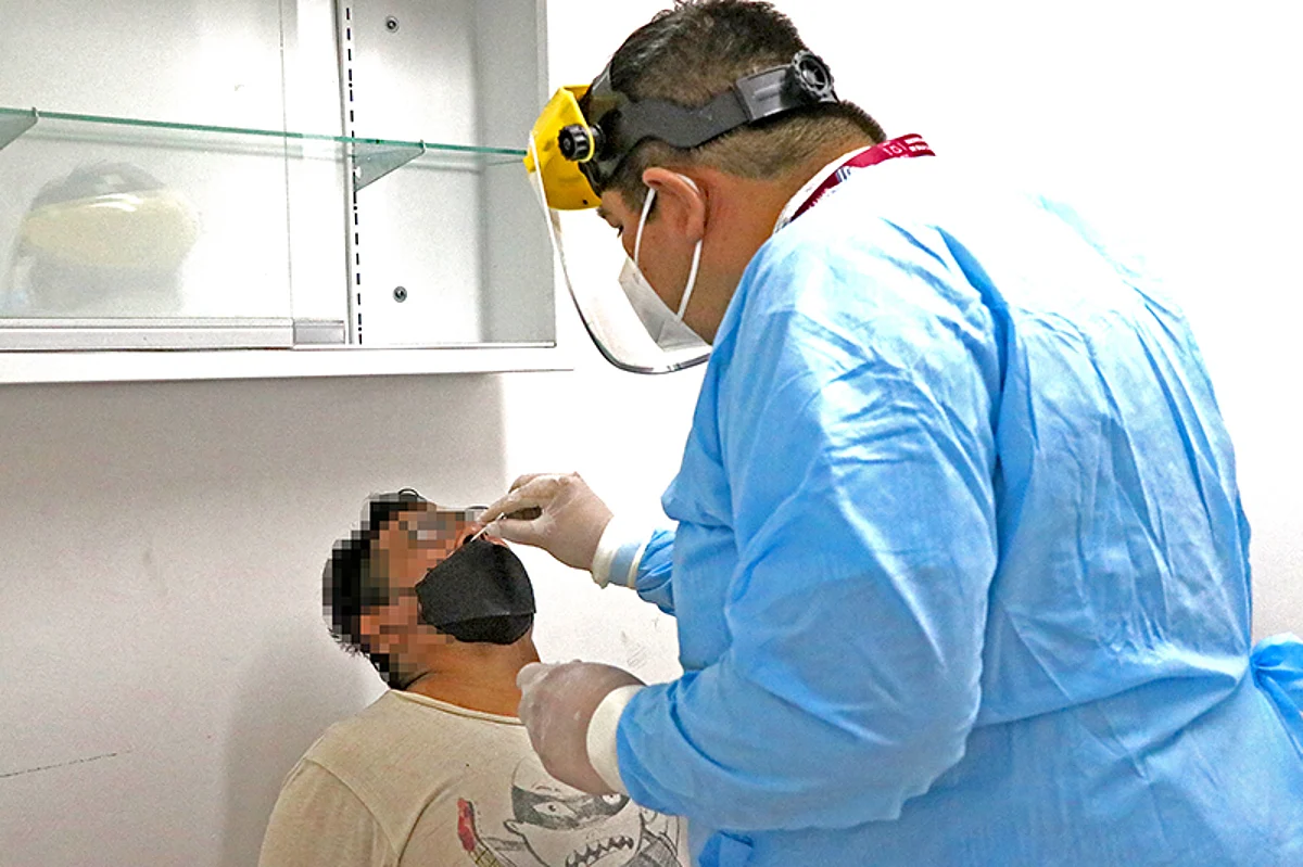Algunas de las mutaciones se relacionan con la proteína espinal y podría conllevar a que el virus se adhiera a las células con mayor eficacia