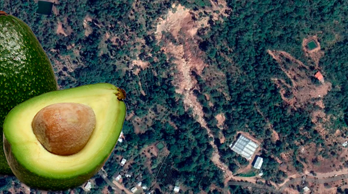 La tarea será realizar la comparativa de las imágenes satelitales históricas para determinar el cambio del 2011 a la fecha