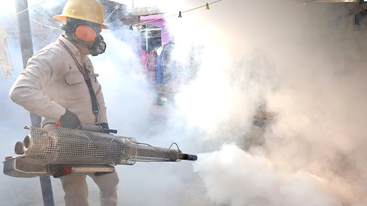 Suman ya poco más de 5 años que el estado se encuentra sin registro de casos de zika y chikungunya