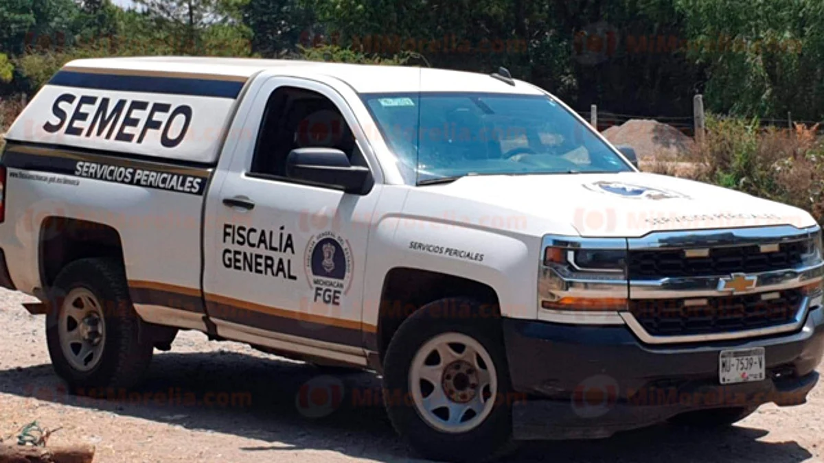 Abejas atacan a pareja en La Piedad; el hombre muere