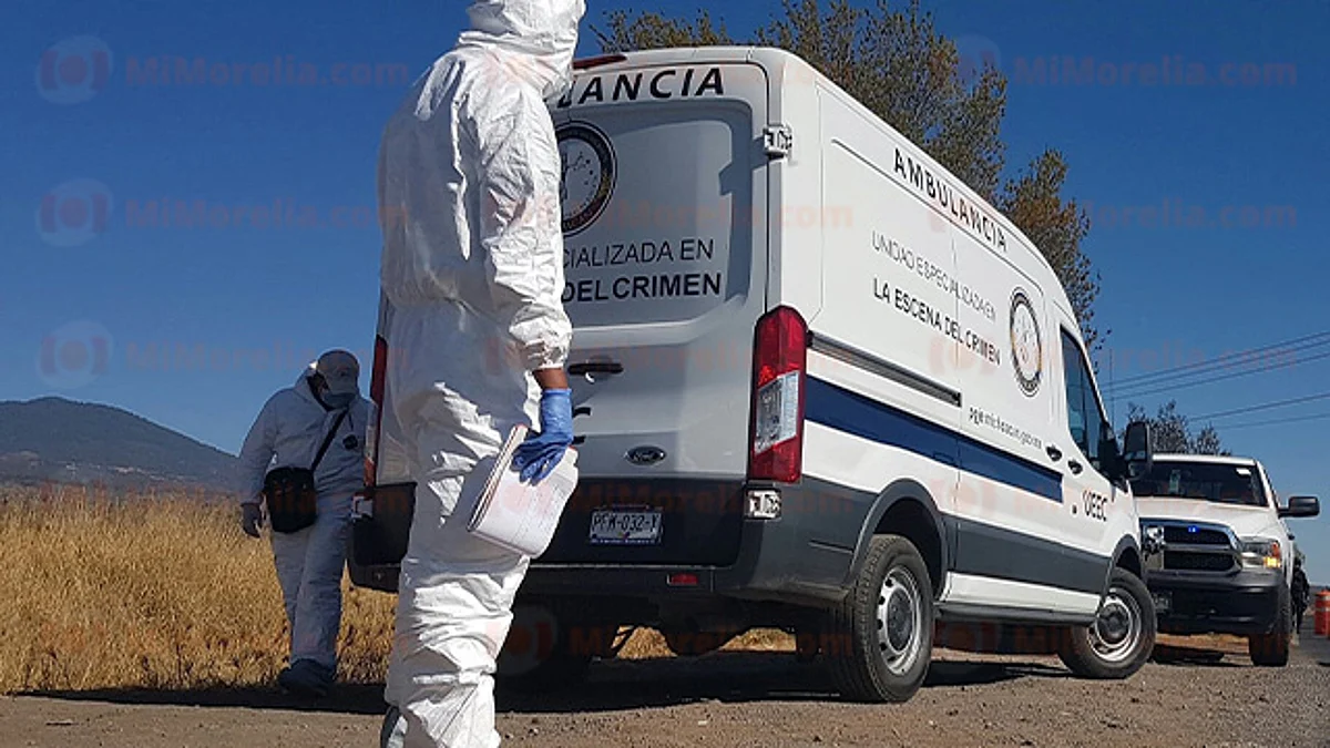 Identifican 8 cadáveres de los 23 hallados en fosas clandestinas de Michoacán