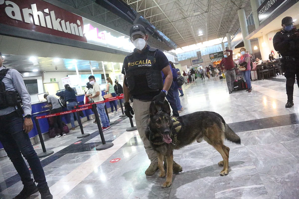 Se mantienen los operativos en centrales camioneras y paqueterías para evitar el trasiego de armas y el traslado de narcóticos