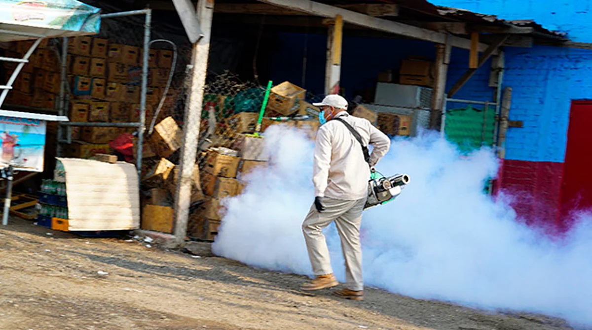 Michoacán, sin registro de defunciones por dengue