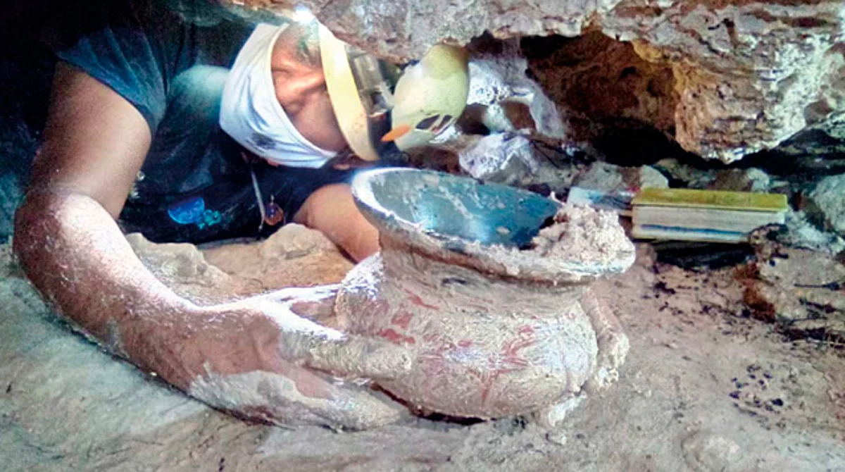 El hallazgo fue notificado por el proyecto Cenotes Urbanos en Playa del Carmen, dada la ubicación de la cueva en el área verde de un predio privado